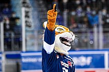 Eishockey, Herren, DEL, Saison 2021-2022, 22.09.2021