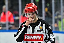Eishockey, Herren, Penny DEL, 22. Spieltag, Saison 2023-2024, Straubing Tigers - Fischtown Pinguins Bremerhaven,26.11.2023