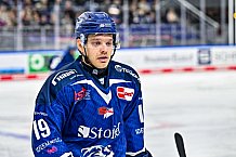 Eishockey, Men, DEL, Penny DEL, Hauptrunde Saison 2024-25, 8. Spieltag, Straubing Tigers - Adler Mannheim, 11.10.2024