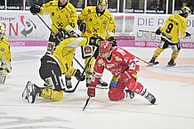 Herren, Eishockey, Oberliga-Süd, DEB, Saison 2024-2025, Deggendorfer SC - Tölzer Löwen, 22.09.2024