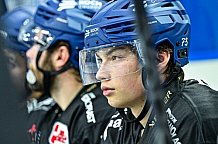 Eishockey, Herren, Penny DEL, 16. Spieltag, Saison 2023-2024, Straubing Tigers - Schwenninger Wild Wings,31.10.2023