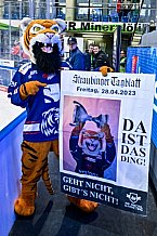 Eishockey, Herren, Penny DEL, DEL, Saison 2022-2023, Playoffs, Viertelfinale, Spiel 1, Straubing Tigers - Grizzlys Wolfsburg, 14.03.2023