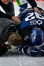 Eishockey, Herren, Penny DEL, Playoffs, Viertelfinale, Spiel 5, Saison 2023-2024, Straubing Tigers - Schwenninger Wild Wings,26.03.2024
