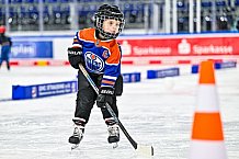 Eishockey, Men, DEL, Penny DEL,  Straubing Tigers - Kids on Ice, 28.09.2024
