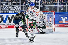 Eishockey, Herren, Penny DEL, 34. Spieltag, Saison 2023-2024, Straubing Tigers - Augsburger Panther,03.01.2024