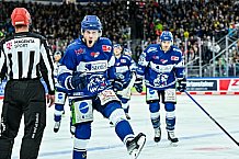Eishockey, Herren, Penny DEL, 11. Spieltag, Saison 2023-2024, Straubing Tigers - Koelner Haie,15.10.2023