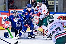 Eishockey, Herren, CHL, Champions Hockey League, Saison 2022-2023, Achtelfinale, Straubing Tigers - Frölunda HC Göteborg, Rückspiel, 22.11.2022