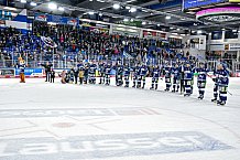 Eishockey, Herren, Penny DEL, 26. Spieltag, Saison 2023-2024, Straubing Tigers - Iserlohn Roosters,10.12.2023