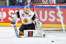 Eishockey, Men, CHL, Champions Hockey League, Regular Saison 2024-25, Game Day 2, Straubing Tigers - Skelleftea AIK, 08.09.2024