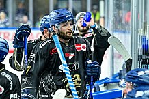 Eishockey, Herren, Penny DEL, 12. Spieltag, Saison 2023-2024, Straubing Tigers - Duesseldorfer EG,20.10.2023