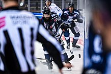Eishockey, Herren, DEL, Saison 2021-2022, Panther, 16.12.2021