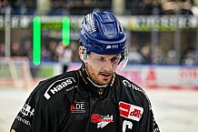 Eishockey, Herren, Penny DEL, 49. Spieltag, Saison 2023-2024, Straubing Tigers - Frankfurter Löwen,25.02.2024