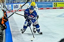 Eishockey, Herren, Penny DEL, 4. Spieltag, Saison 2023-2024, Straubing Tigers - Loewen Frankfurt,24.09.2023