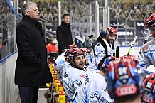 Straubing Tigers - ERC Ingolstadt