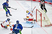 Eishockey, Men, DEL, Penny DEL, Hauptrunde Saison 2024-25, 1. Spieltag, Straubing Tigers - Düsseldorfer EG, 20.09.2024
