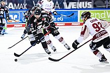 Eishockey, Herren, DEL, Saison 2020-2021, Straubing Tigers - Kölner Haie, 11.04.2021