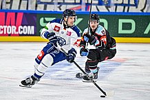 Eishockey, Men, CHL, Champions Hockey League, Regular Saison 2024-25, Game Day 1, Straubing Tigers - SonderjyskE Vojens, 06.09.2024
