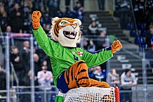 Eishockey, Herren, DEL, Saison 2022-2023, Hauptrunde, Straubing Tigers - Schwenninger Wild Wings, 55. Spieltag, 22.02.2023