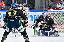 Eishockey, Herren, Penny DEL, 47. Spieltag, Saison 2023-2024, Straubing Tigers - Koelner Haie,18.02.2024