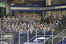 Eishockey, Herren, DEL, Saison 2020 2021, Straubing Tigers - Schwenninger Wild Wings, 25.01.2021