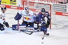 Eishockey, Herren, DEL, Saison 2020-2021, Straubing Tigers - EHC Red Bull München, 22.02.2021