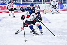 Eishockey, Herren, DEL, Penny DEL, Vorbereitung, Gäubodencup 2023, Saison 2023-2024, Straubing Tigers - Nürnberg Ice Tigers,18.08.2023