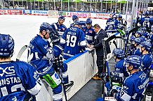 Eishockey, Herren, Penny DEL, 4. Spieltag, Saison 2023-2024, Straubing Tigers - Loewen Frankfurt,24.09.2023