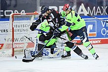 Eishockey, Herren, DEL, Saison 2020 2021, Straubing Tigers - ERC Ingolstadt, 31.01.2021