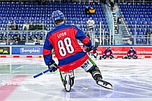 Eishockey, Herren, Penny DEL, 22. Spieltag, Saison 2023-2024, Straubing Tigers - Fischtown Pinguins Bremerhaven,26.11.2023