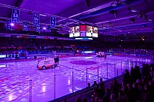 Eishockey, Herren, Penny DEL, 50. Spieltag, Saison 2023-2024, Straubing Tigers - Eisbären Berlin,01.03.2024