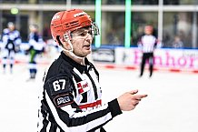 Eishockey, Herren, DEL, Saison 2021-2022, 07.11.2021