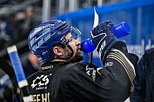Eishockey, Herren, Penny DEL, 34. Spieltag, Saison 2023-2024, Straubing Tigers - Augsburger Panther,03.01.2024