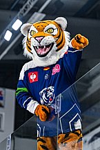 Eishockey, Men, CHL, Champions Hockey League, Regular Saison 2024-25, Game Day 1, Straubing Tigers - SonderjyskE Vojens, 06.09.2024