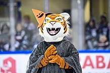 Eishockey, Herren, DEL, Saison 2021-2022, 29.10.2021