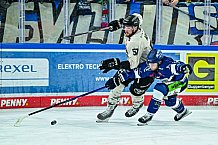 Eishockey, Herren, Penny DEL, 11. Spieltag, Saison 2023-2024, Straubing Tigers - Koelner Haie,15.10.2023