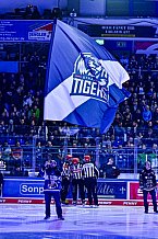 Eishockey, Herren, Penny DEL, 12. Spieltag, Saison 2023-2024, Straubing Tigers - Duesseldorfer EG,20.10.2023