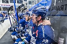 Eishockey, Herren, Penny DEL, 37. Spieltag, Saison 2023-2024, Straubing Tigers - Eisbären Berlin,12.01.2024