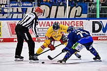 Eishockey, Herren, Penny-DEL, DEL, Saison 2022-2023, Hauptrunde, Straubing Tigers - Düsseldorfer EG, 45. Spieltag, 22.01.2023
