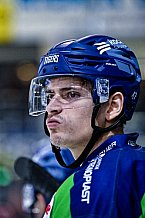 Eishockey, Herren, Penny DEL, DEL, Saison 2022-2023, Hauptrunde, Straubing Tigers - Kölner Haie, 57. Spieltag, 26.02.2023