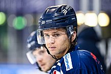Eishockey, Herren, DEL, Saison 2021-2022, Panther, 16.12.2021