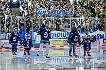 Eishockey, Herren, Penny DEL, DEL, Saison 2022-2023, Hauptrunde, Straubing Tigers - Kölner Haie, 57. Spieltag, 26.02.2023