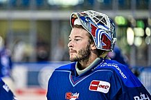 Eishockey, DEL, Penny-DEL, Vorbereitung, Straubing Tigers - HC Lugano, Gäubodencup 2022, 18.08.2022