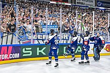 Eishockey, Men, CHL, Champions Hockey League, Regular Saison 2024-25, Game Day 2, Straubing Tigers - Skelleftea AIK, 08.09.2024