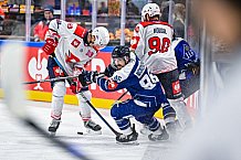 Eishockey, Men, CHL, Champions Hockey League, Regular Saison 2024-25, Game Day 4, Straubing Tigers - Dynamo Pardubice, 15.09.2024