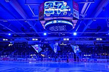 Eishockey, Herren, Penny DEL, 22. Spieltag, Saison 2023-2024, Straubing Tigers - Fischtown Pinguins Bremerhaven,26.11.2023