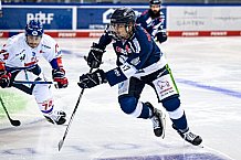 Eishockey, DEL, Penny-DEL, Vorbereitung, 22.08.2021