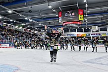 Eishockey, Herren, Penny DEL, 22. Spieltag, Saison 2023-2024, Straubing Tigers - Fischtown Pinguins Bremerhaven,26.11.2023