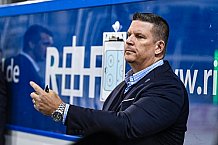 Eishockey, Herren, DEL, Saison 2021-2022, Straubing Tigers - Adler Mannheim, 10.09.2021