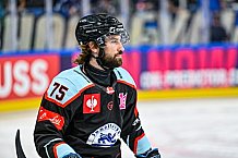 Eishockey, Men, CHL, Champions Hockey League, Regular Saison 2024-25, Game Day 1, Straubing Tigers - SonderjyskE Vojens, 06.09.2024