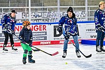 Eishockey, Men, DEL, Penny DEL,  Straubing Tigers - Kids on Ice, 28.09.2024